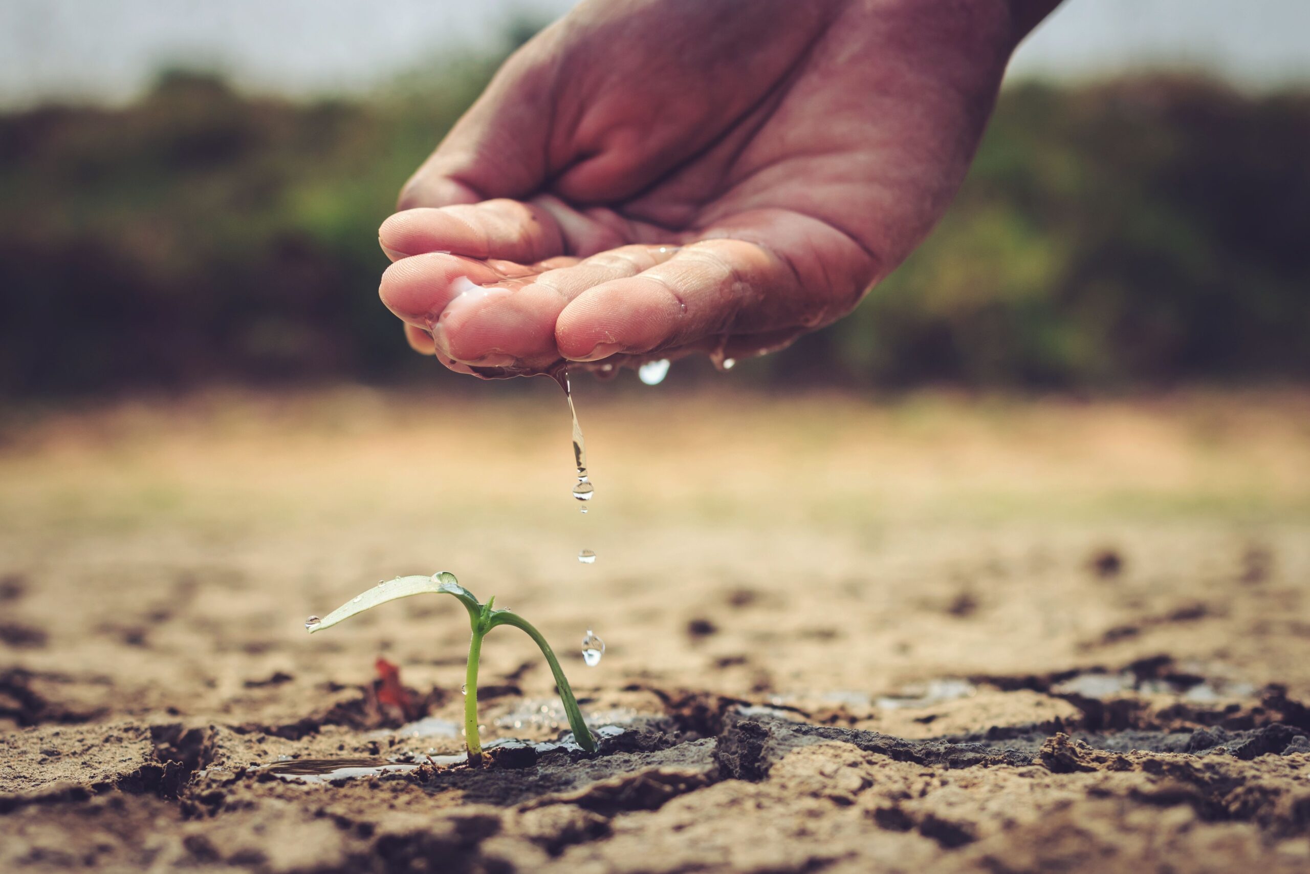 Close hand watering