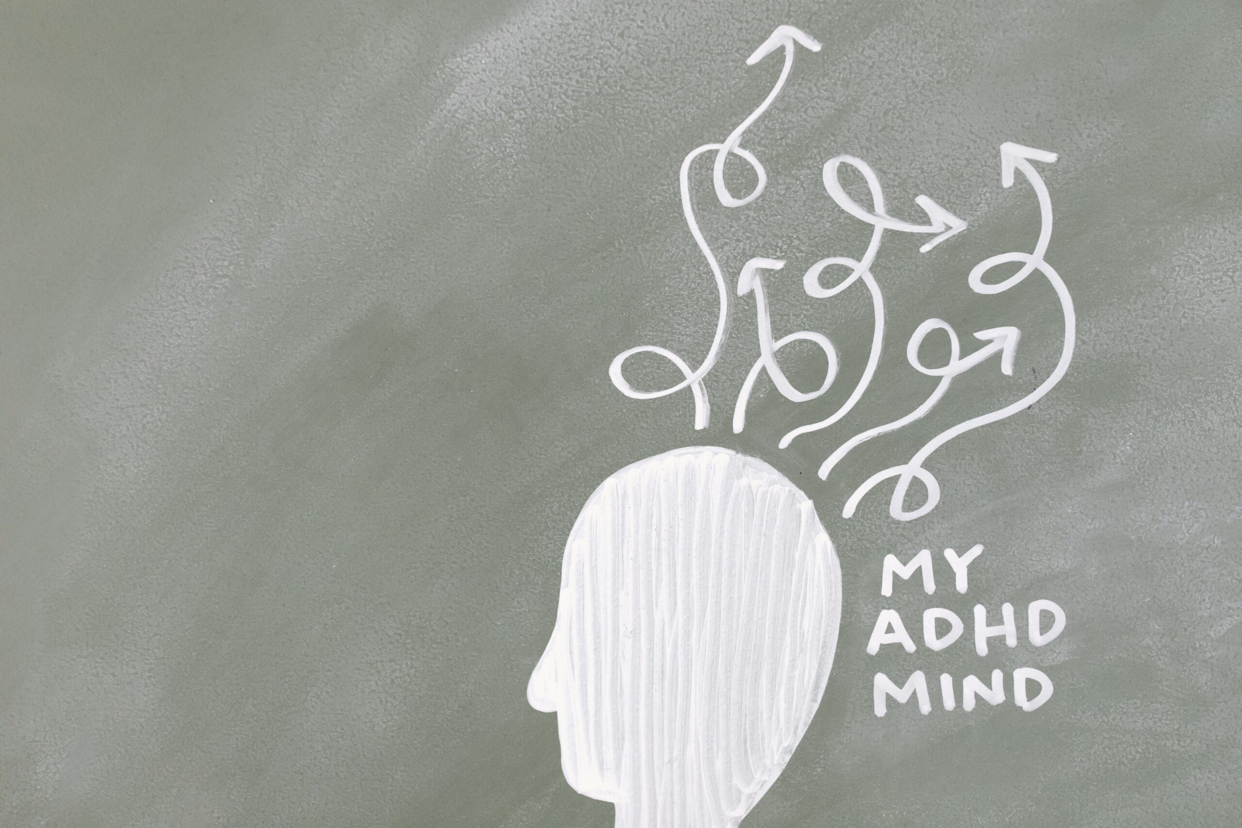 Illustration brain circuits related stress addiction and resilience